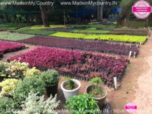 MadeinMycountry-India-MadeinMycountryIndia-MadeinMycountry-Asia-MadeinMycountryIN